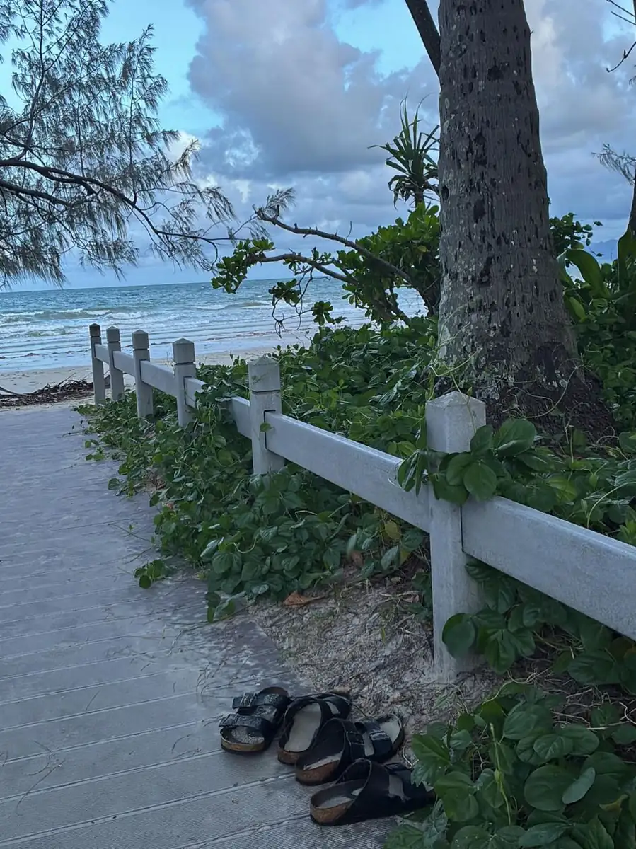 Cochrane SACN | Port Douglas Travel Guide 2026 A Four-Day Itinerary That Actually Makes Sense