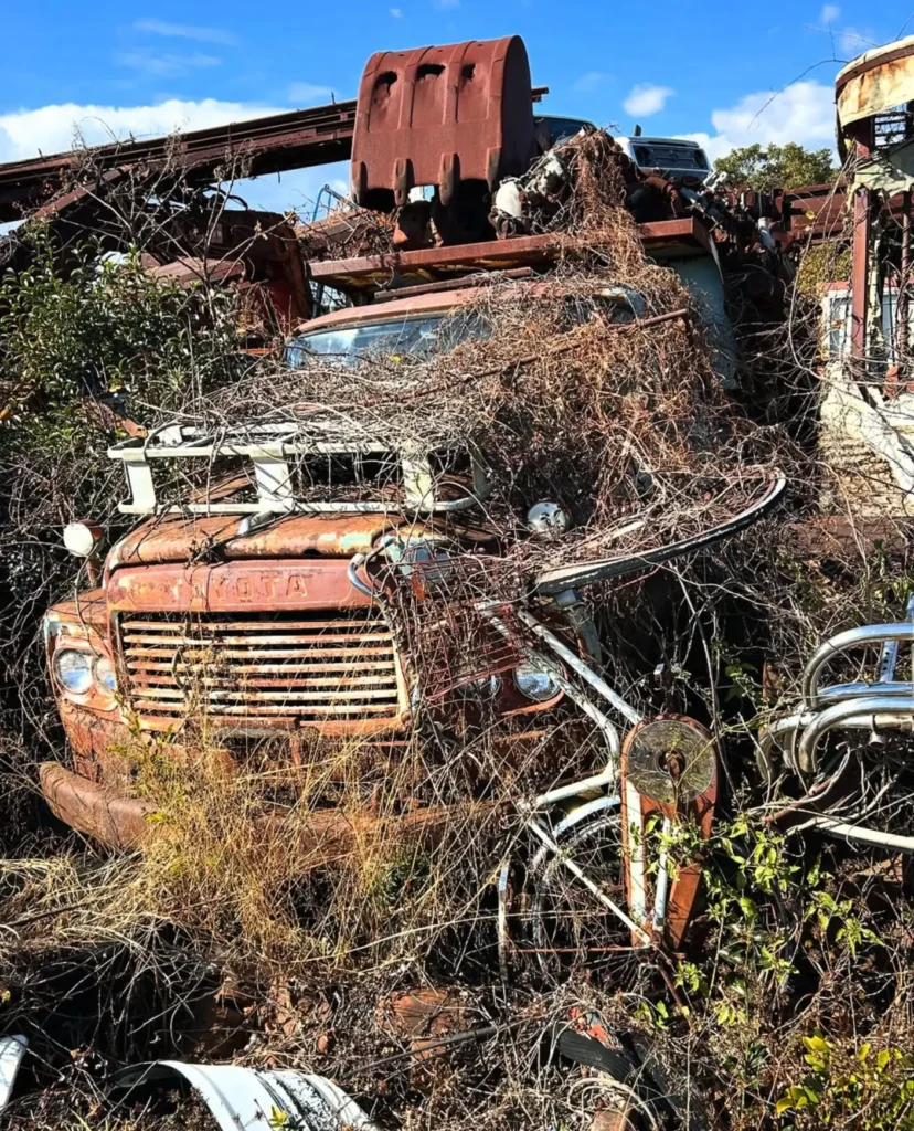 Cars Removed