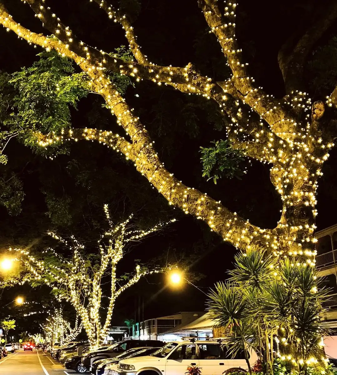 Cochrane SACN | Port Douglas Travel Guide 2026 Tropical Town With Style And Sand
