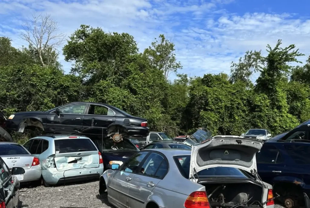 cash for cars in Glen-Iris