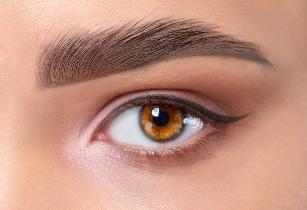 Permanent eyeliner training program